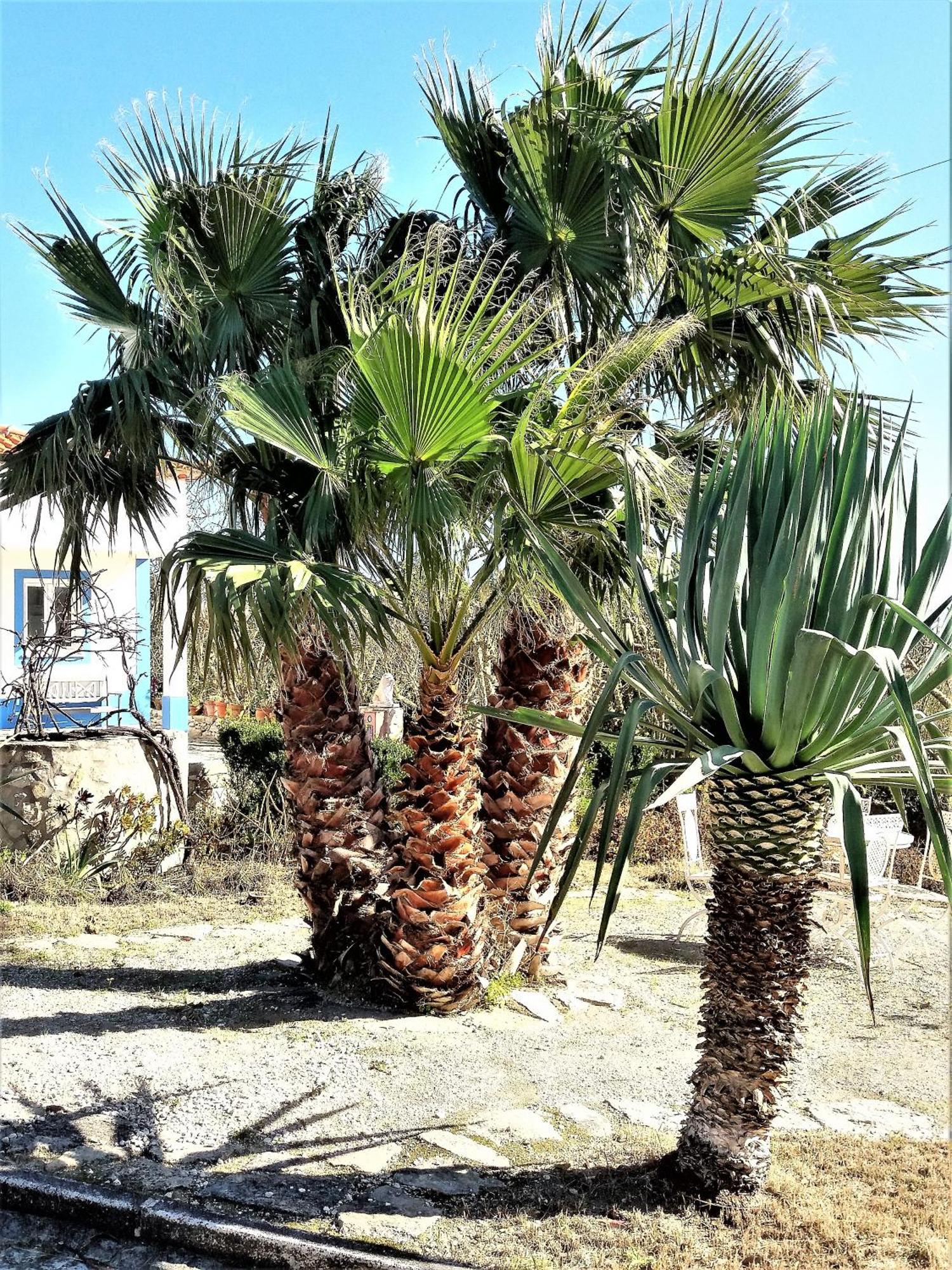 Água Rocha Villa Serra de Mangues Habitación foto